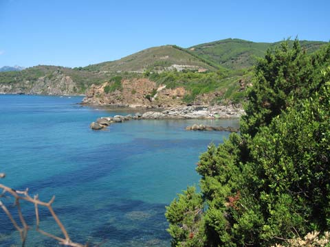 Spiaggia del Felciaio - Capoliveri